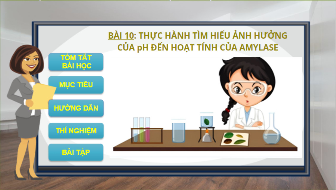 Ứng dụng một số phần mềm xây dựng thiết bị dạy học hỗ trợ việc dạy và học môn sinh học lớp 10